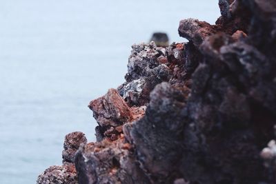 Close-up of rocks on rock against sea