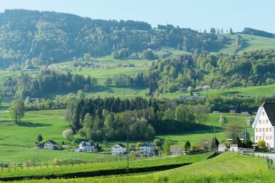 Scenic view of agricultural field by houses and trees