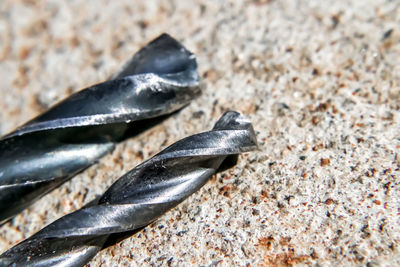 Close-up of shell on beach