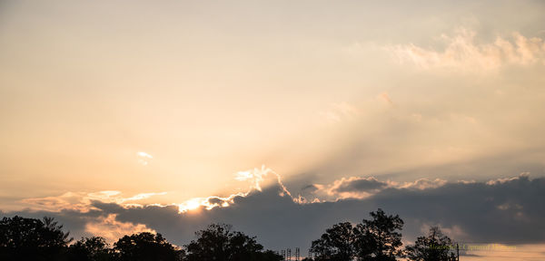 Silhouette trees against sky during sunset