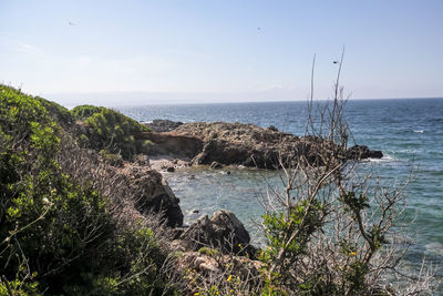 Scenic view of sea against sky