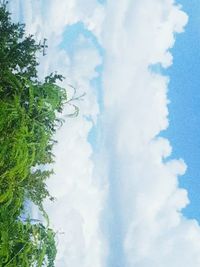 Low angle view of trees against sky