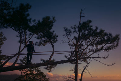 Silhouette man standing by tree against sky during sunset