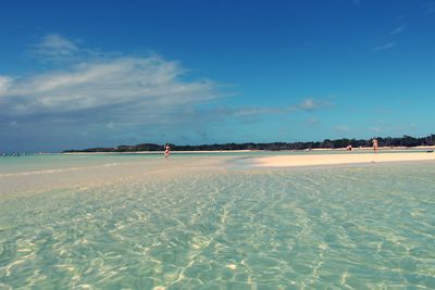 Scenic view of beach against blue sky