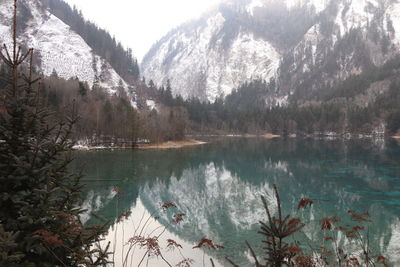 Scenic view of lake in forest