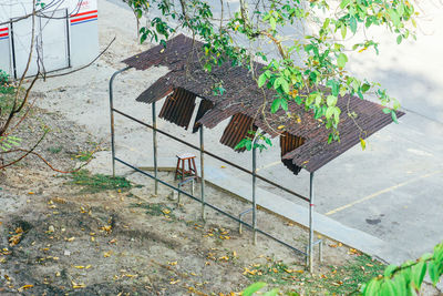 High angle view of tree by building