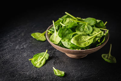 High angle view of salad in bowl on table