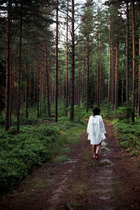 Rear view of man walking in forest