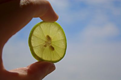 Close-up of cropped hand