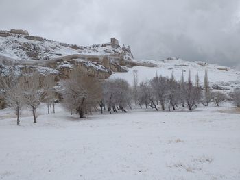 Trees on snow covered land against sky