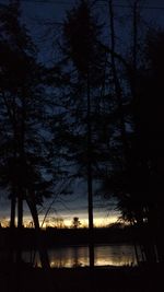 Silhouette of trees at sunset