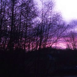 Silhouette of bare trees against sky at sunset