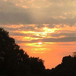 Silhouette of trees at sunset