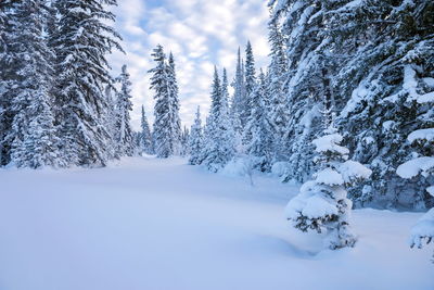 Snow covered landscape against sky during winter