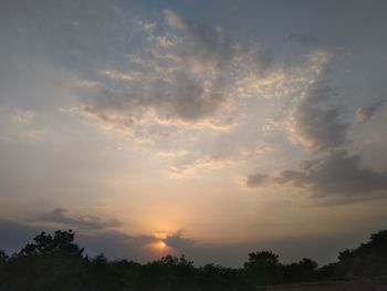 Low angle view of silhouette trees against sky during sunset