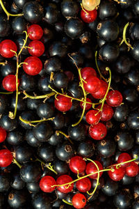 Full frame shot of cherries