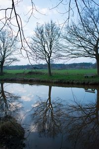 Reflection of bare trees in lake against sky