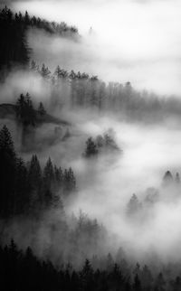 High angle view of trees against sky