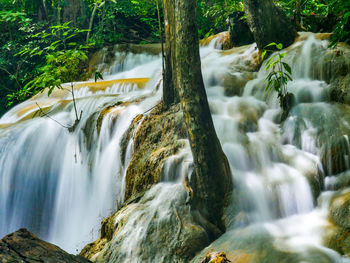 Scenic view of waterfall in forest