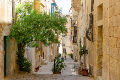 Street amidst buildings in city