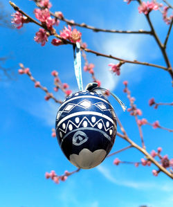 Low angle view of hanging blue colored easter egg in tree with pink blossoms against sky