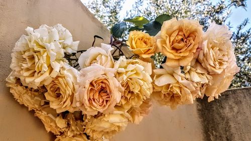 Close-up of rose bouquet