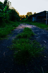 Street amidst field and trees against sky