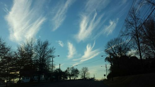 Bare trees against cloudy sky