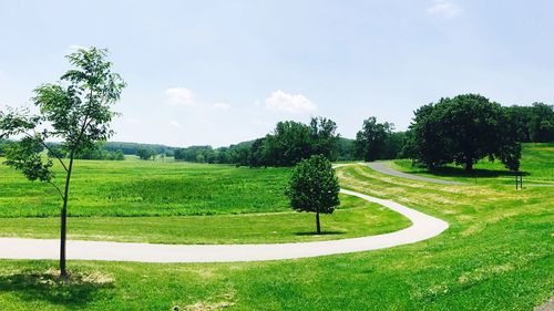 Scenic view of green landscape against sky