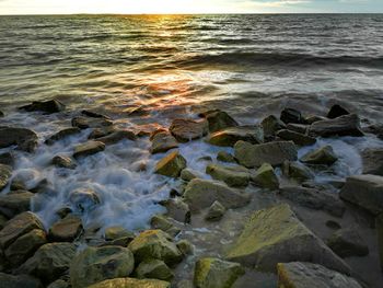 Scenic view of sea during sunset