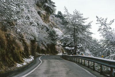 Empty road amidst trees in forest