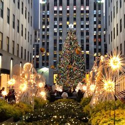 Illuminated christmas tree at night