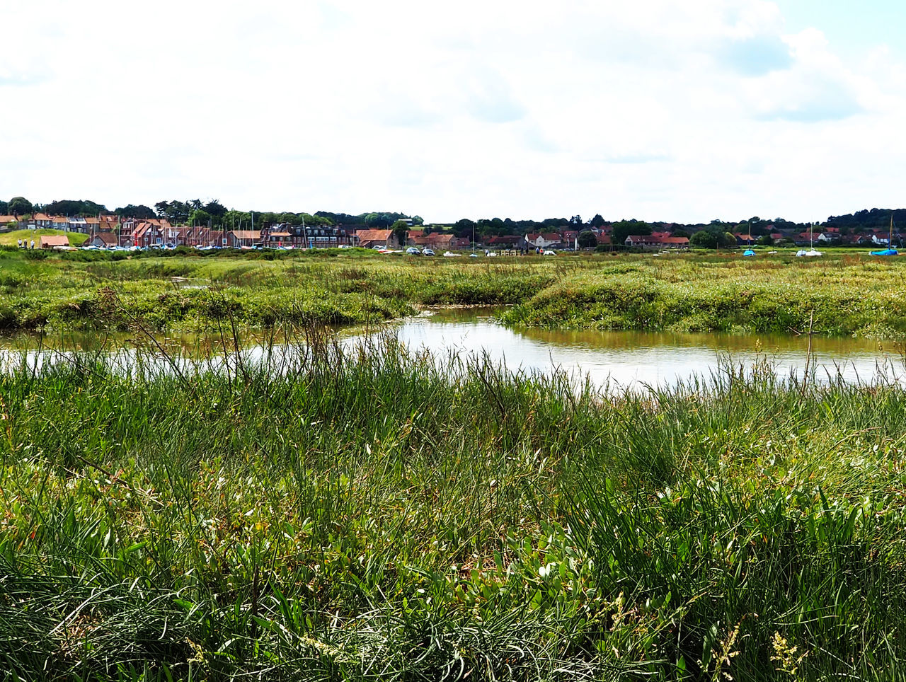 SCENIC VIEW OF GRASSY FIELD AGAINST SKY