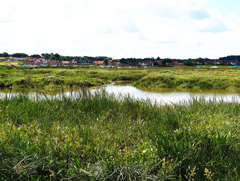 Scenic view of field against sky