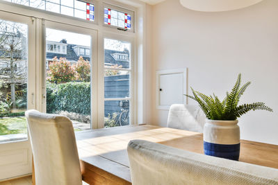 Potted plants on table at home