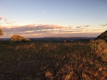 Scenic view of field against sky at sunset