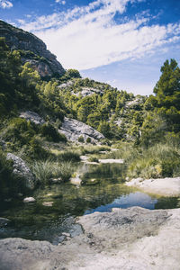 Calm stream with many stones on the path, surrounded by much green forest in catalonia, spain