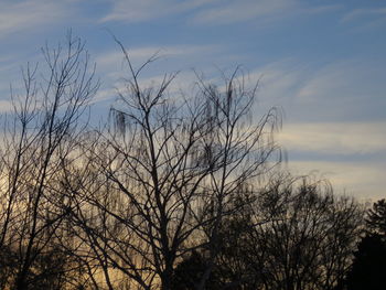 Bare trees against sky at sunset