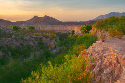 Scenic view of landscape during sunset