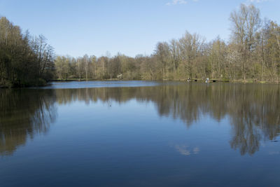 Scenic view of lake by trees against clear sky