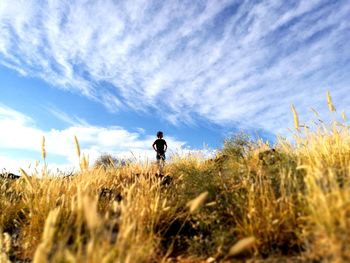 Man standing on field against sky