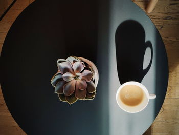 Directly above shot of coffee by potted plant on table