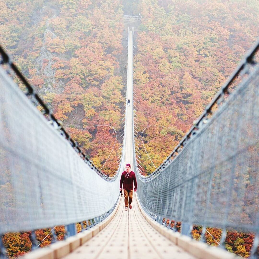 real people, autumn, the way forward, footbridge, day, two people, change, tree, bridge - man made structure, built structure, leisure activity, transportation, men, lifestyles, full length, outdoors, architecture, women, nature, beauty in nature, adult, people