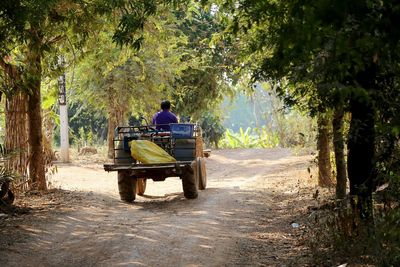 Rear view of people walking on road