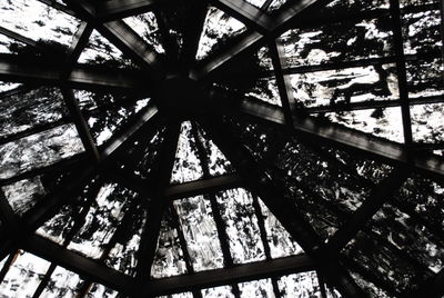 Low angle view of tree