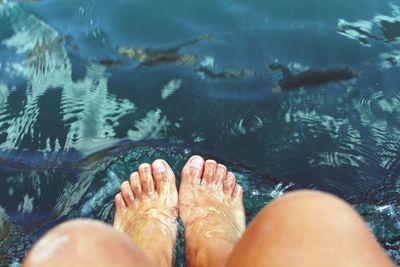 Low section of people relaxing in water