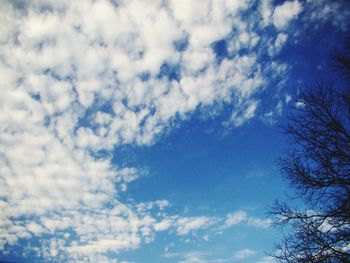 Low angle view of sky