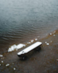 High angle view of a duck in lake