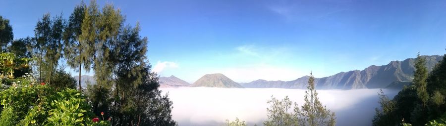 Panoramic view of trees and mountains against sky