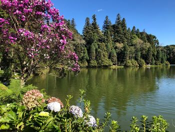 Scenic view of lake against sky